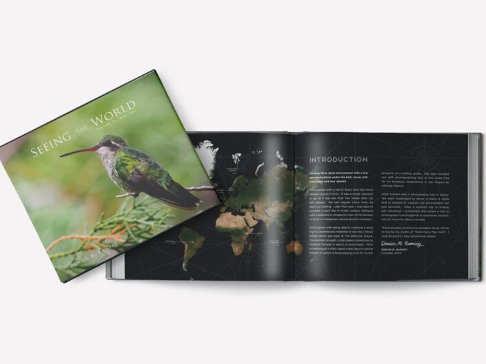 Seeing the World • Volume VI